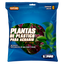 Chicos Planta para Acuario
