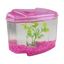 Haqos Kit Betera Rosa 1.8 L para Peces