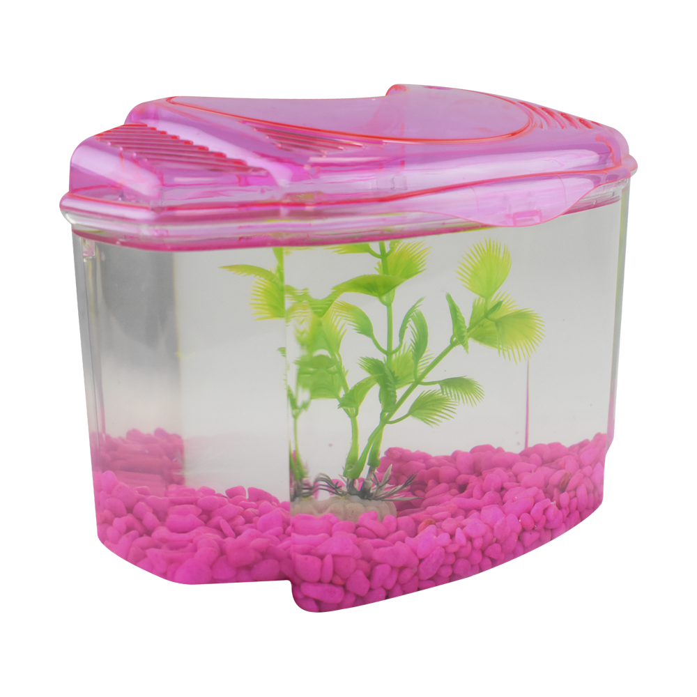Haqos Kit Betera Rosa 1.8 L para Peces
