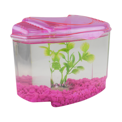 Haqos Kit Betera Rosa 1.8 L para Peces