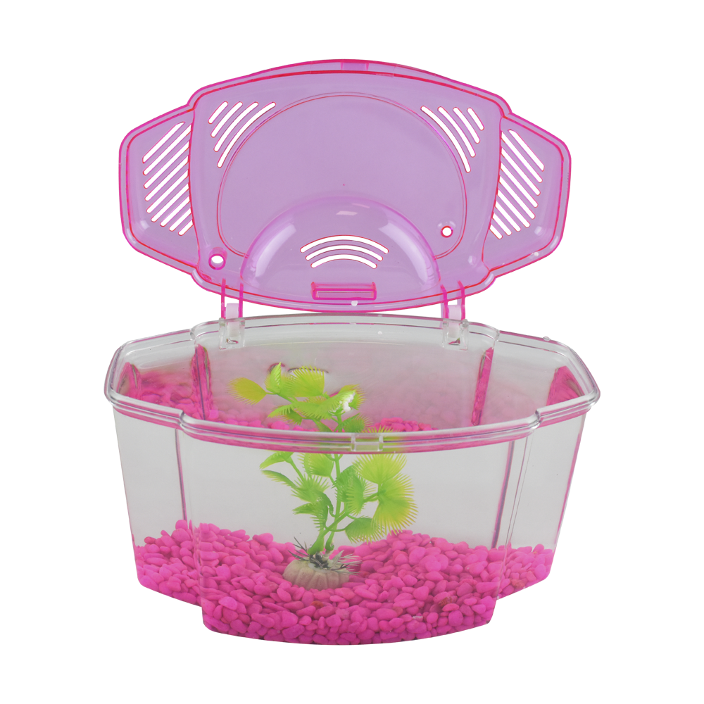 Haqos Kit Betera Rosa 1.8 L para Peces