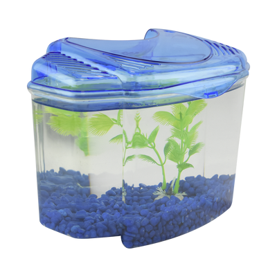 Haqos Kit Betera Azul 1.8 L para Peces