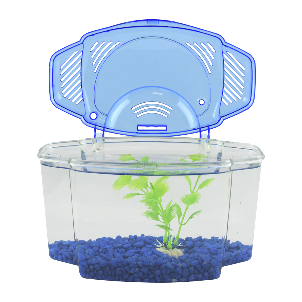 Haqos Kit Betera Azul 1.8 L para Peces