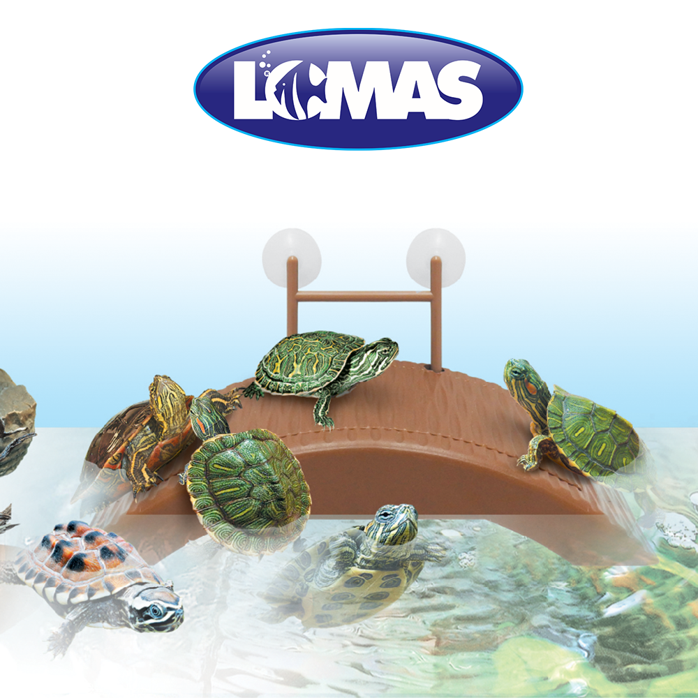 Haqos Muelle Flotante para Tortugas