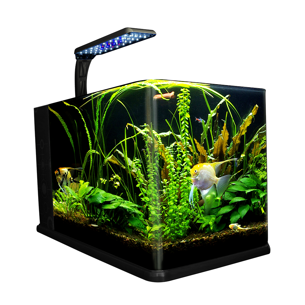 Haqos Acuario Nano Largo 14 L para Peces
