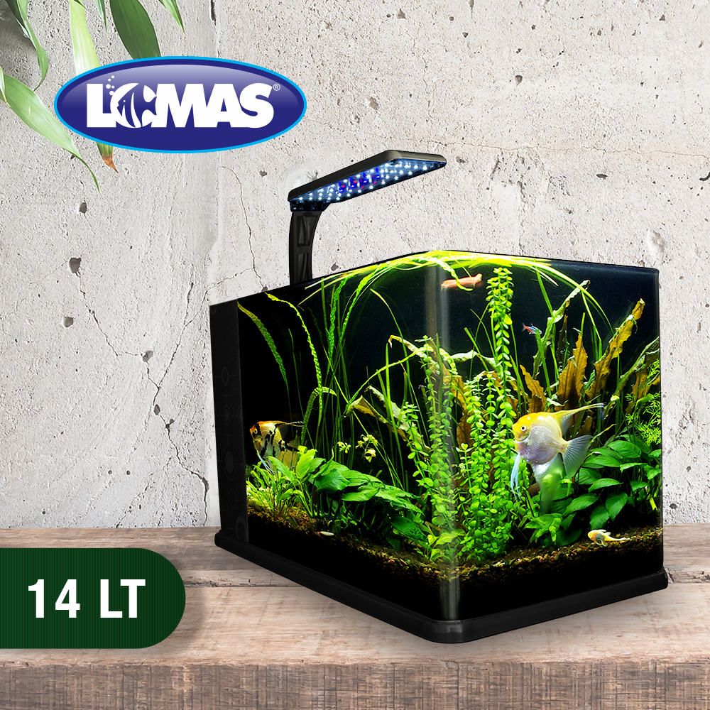 Haqos Acuario Nano Largo 14 L para Peces