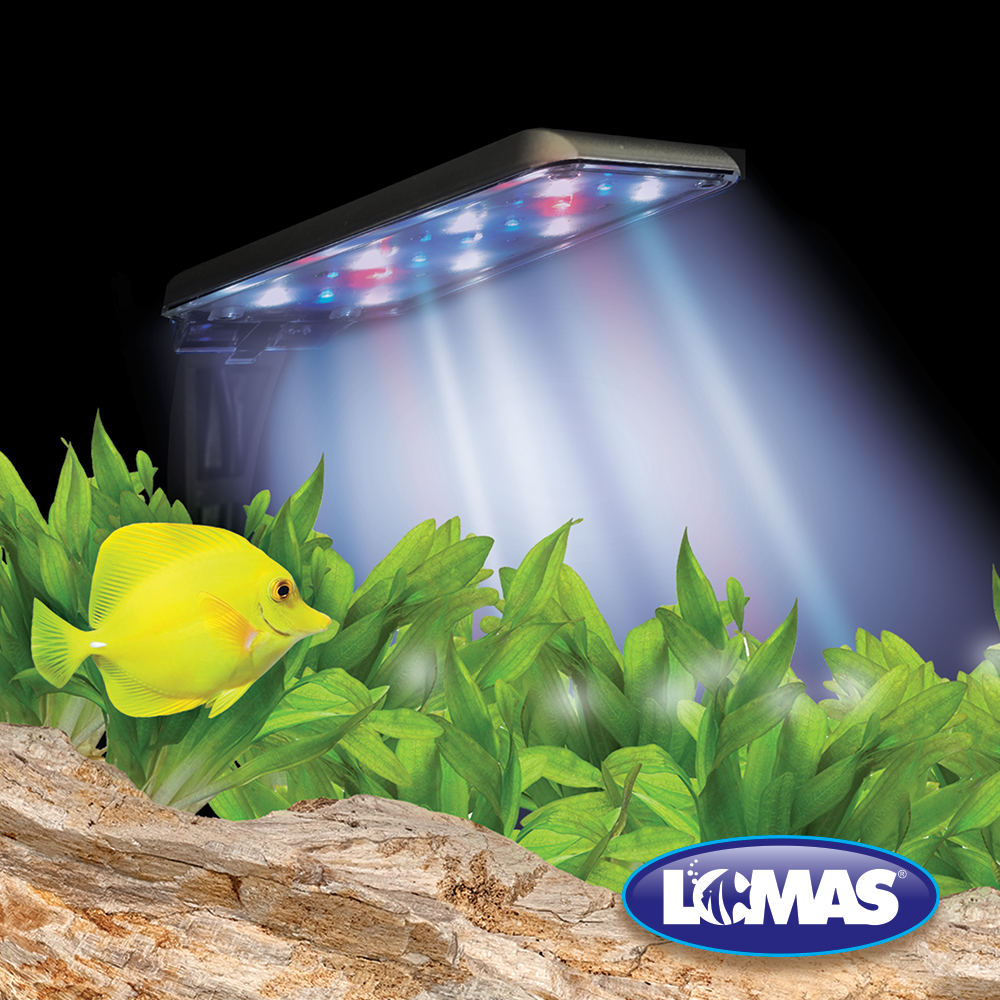 Haqos Luminario LED Nano 5 W (18 cm) para Peces