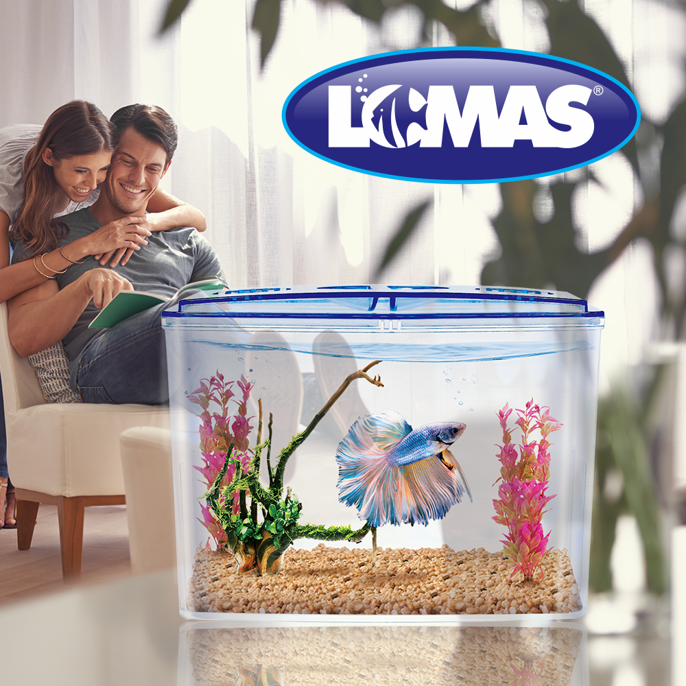 Haqos Betera Doble de Plastico 1.5 L para Peces