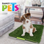 Kingliway Doggie Grass para Perro