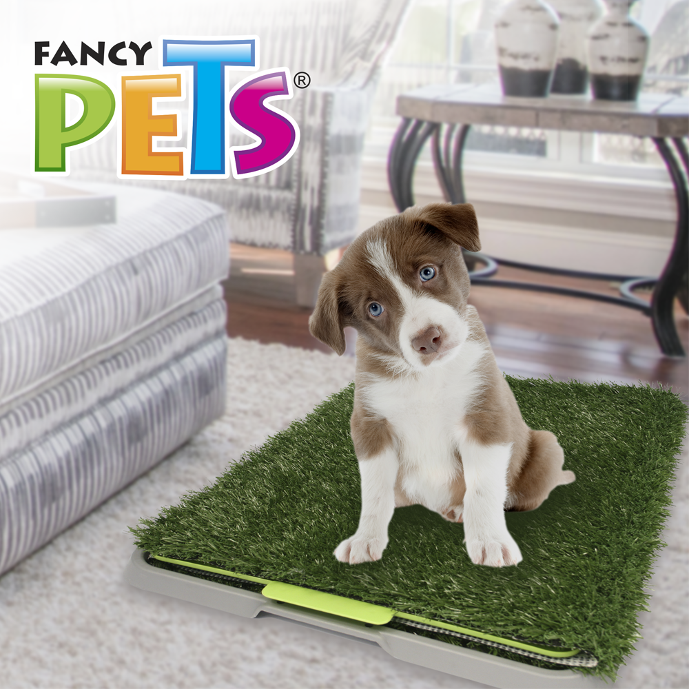 Kingliway Doggie Grass para Perro