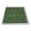 Kingliway Doggie Grass Extra Chico 50 X 40 cm para Perro