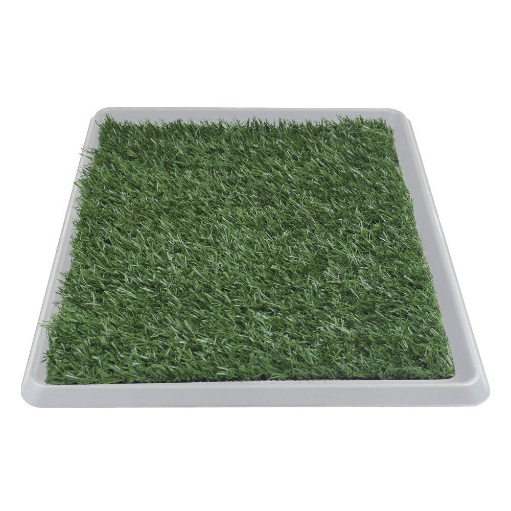 Kingliway Doggie Grass Extra Chico 50 X 40 cm para Perro