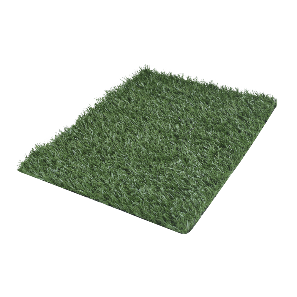 Kingliway Repuesto Pasto para Doggie Grass