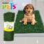 Kingliway Repuesto Pasto para Doggie Grass
