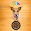 Kumar Plato Ligero de Acero para Perro