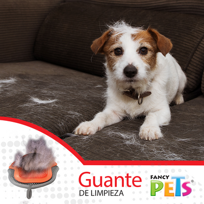 Kudi Guante para Cepillado 3 en 1
