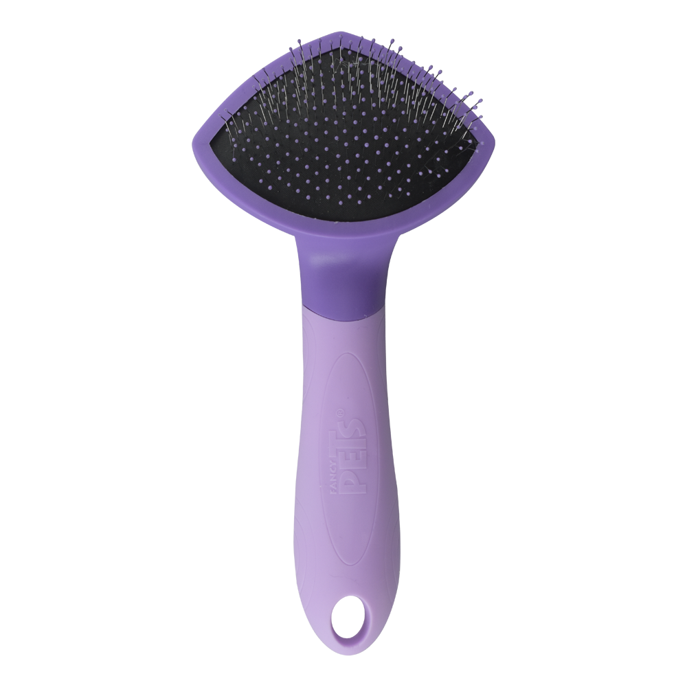 Kudi Expert Carda para Gato