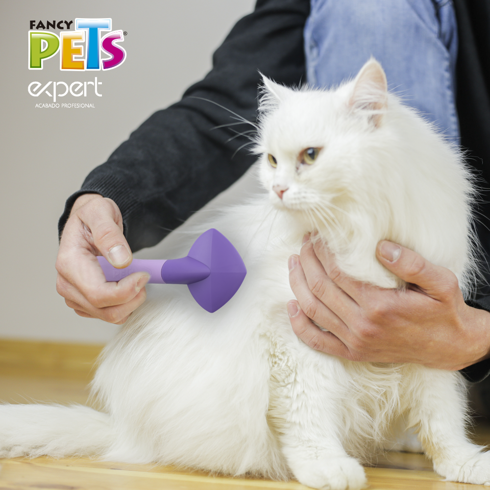 Kudi Expert Carda para Gato
