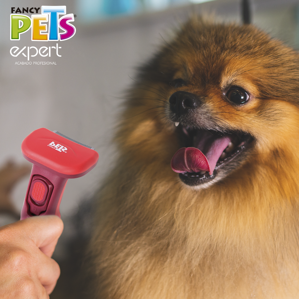 Kudi Deslanador Curvo Expert Chico para Gato
