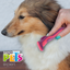 Kudi Deslanador Curvo Expert Mediano para Perro