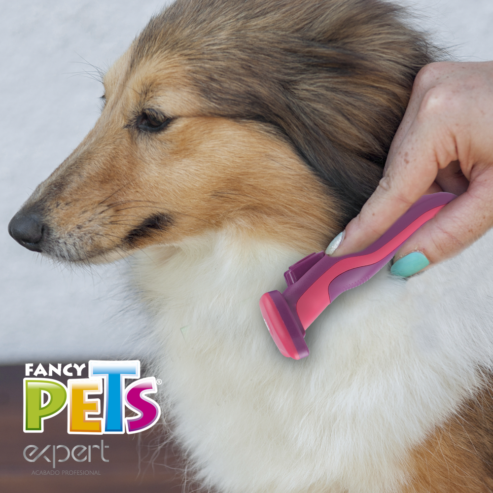 Kudi Deslanador Curvo Expert Mediano para Perro