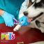 Kudi Expert Cortauñas con Lima para Gato