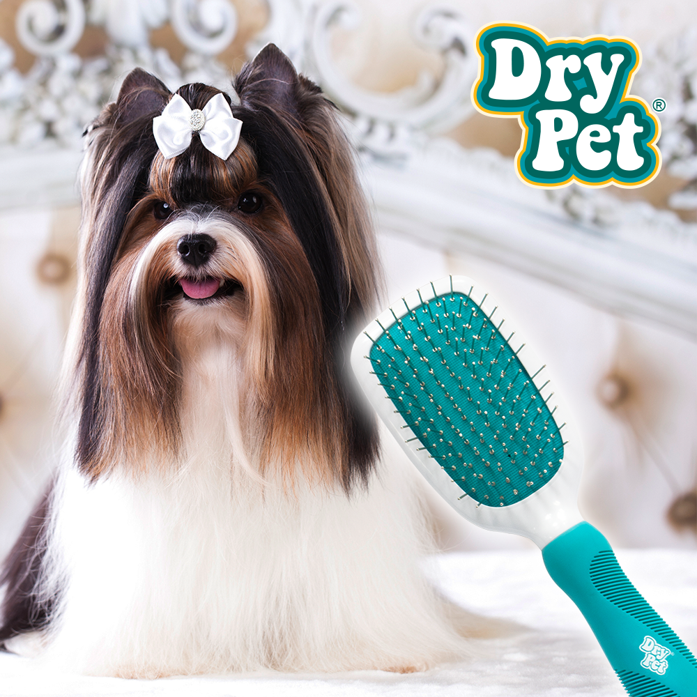 Kudi Cepillo Combinado para Perro