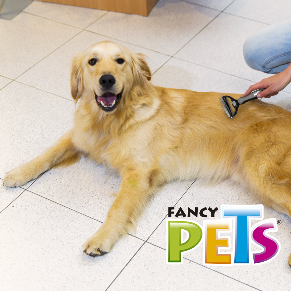 Kudi Rompenudos Doble Cabezal Profesional para Perro