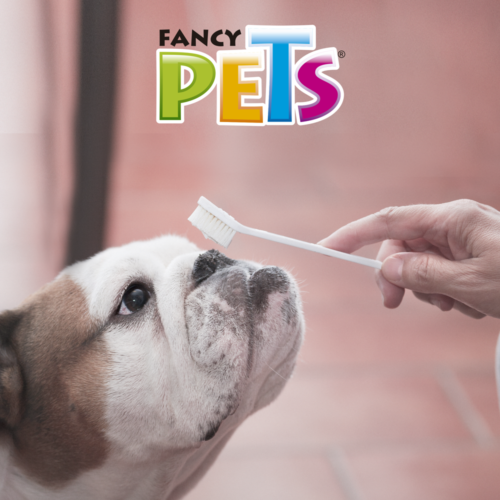 Kudi Set de Cepillos Dentales para Mascota - 3pz