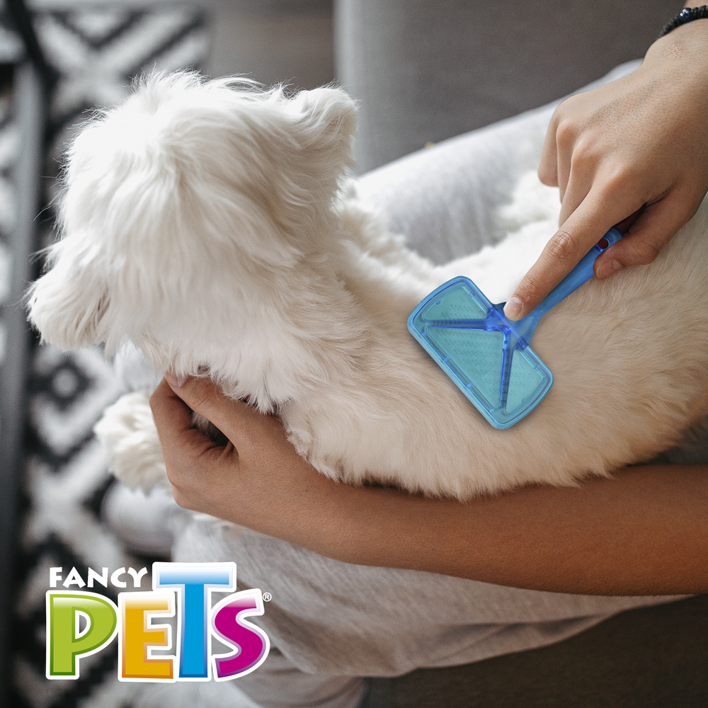 Chicos Carda Chico con Puntas Recubiertas para Perro