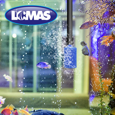 Chicos Piedra Aireadora 2.5 cm para Peces