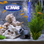 Chicos Piedra Aireadora para Peces