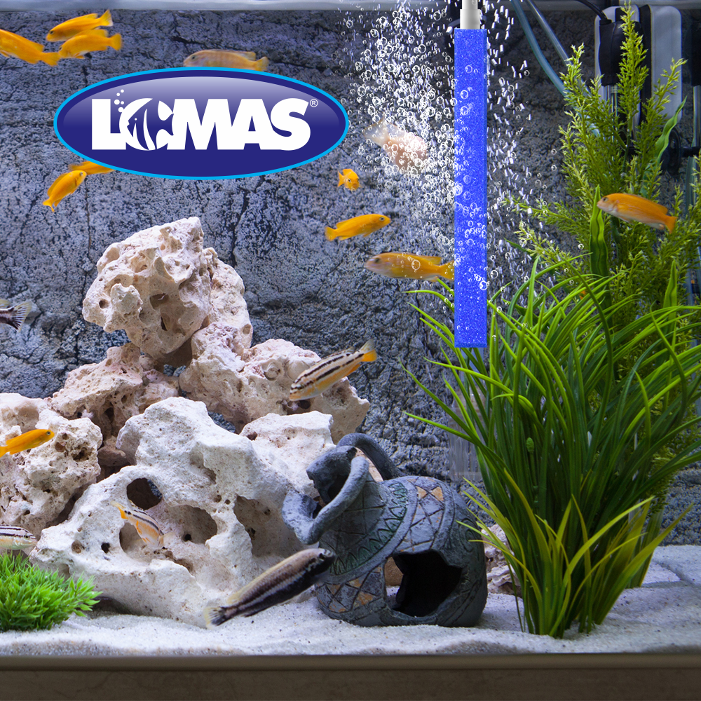 Chicos Piedra Aireadora para Peces