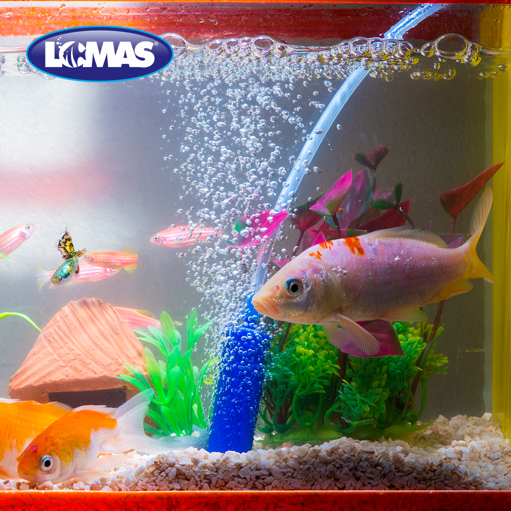 Chicos Rollo de Manguera 100 m para Peces