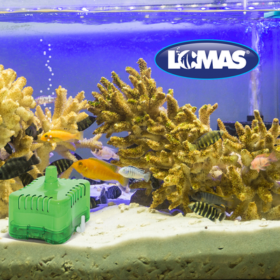 Chicos Filtro Interno de Caja Verde 25 L para Peces