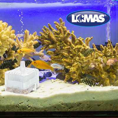 Chicos Filtro Interno de Caja Transparente 25 L para Peces