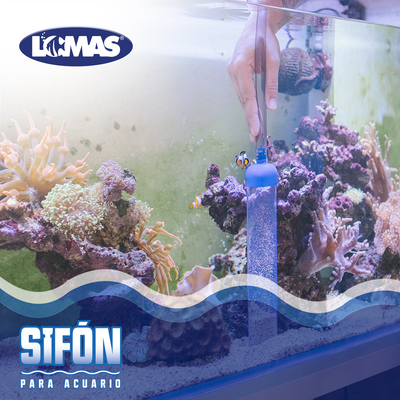 Chicos Sifon para Acuario