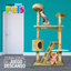 Kaifeng Mueble Byblos para Gato 158 cm