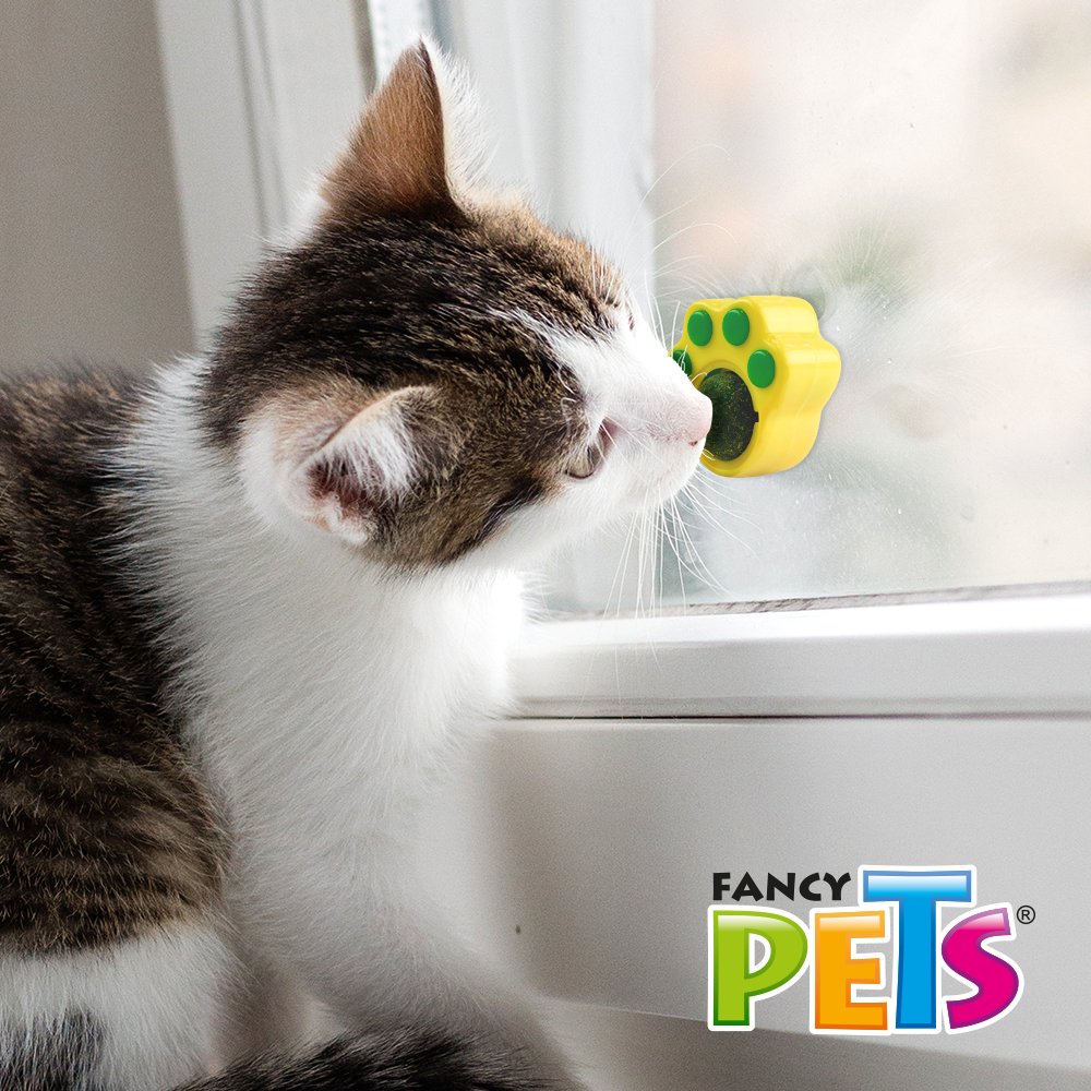 Chicos Play Juguete Huella con Bola de Catnip para Gato