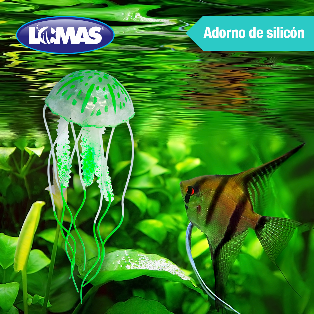 Deming Medusa Fluorescente Colores Surtidos para Peces
