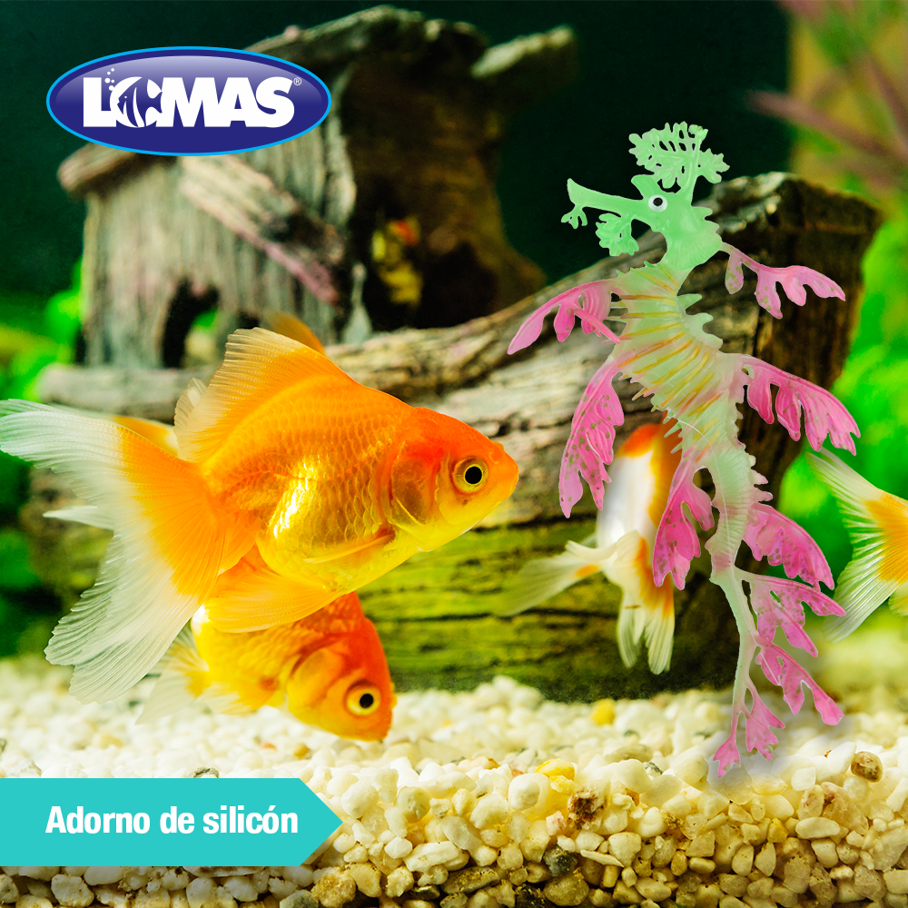 Deming Pez Dragon Fluorescente Colores Surtidos para Peces