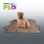 Senful Cubre Asiento de Tela Cafe para Perro
