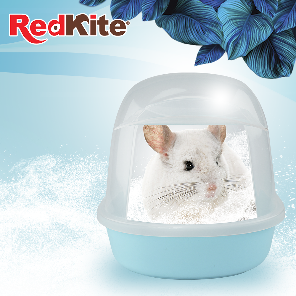 Chicos Bañera para Chinchilla con Puerta