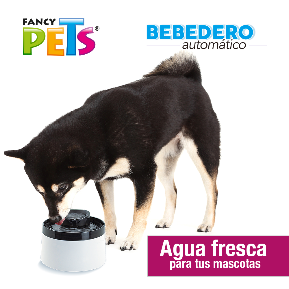 Jinjiang Bebedero Fuente de Agua 2 L para Perro