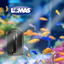 Jinjiang Limpiador Magnetico para Peces