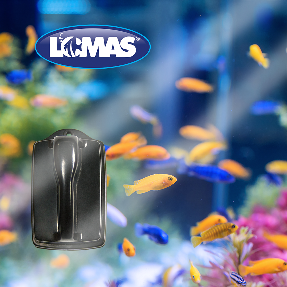 Jinjiang Limpiador Magnetico para Peces