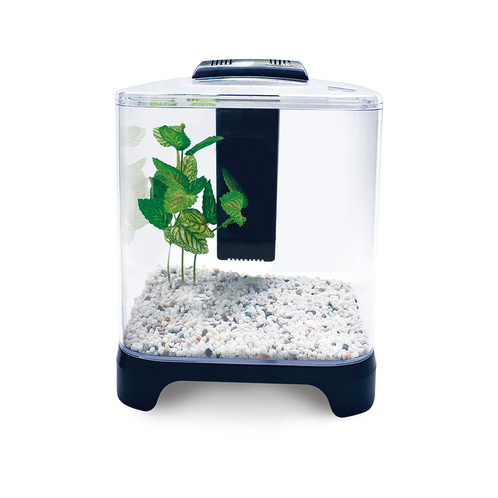 Jinjiang Acuario Mini 6 L para Peces
