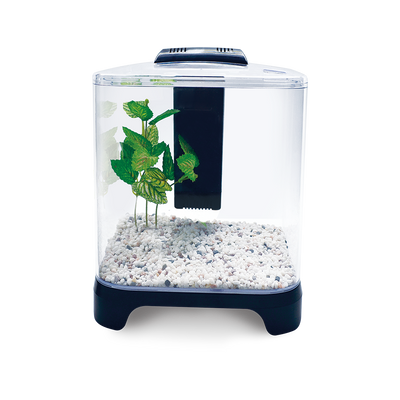 Jinjiang Acuario Mini 6 L para Peces