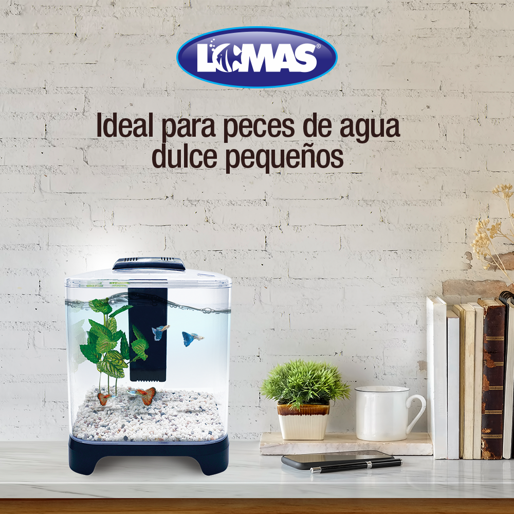 Jinjiang Acuario Mini 6 L para Peces