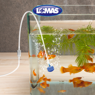 Chicos Valvula Check - 100 pz para Peces